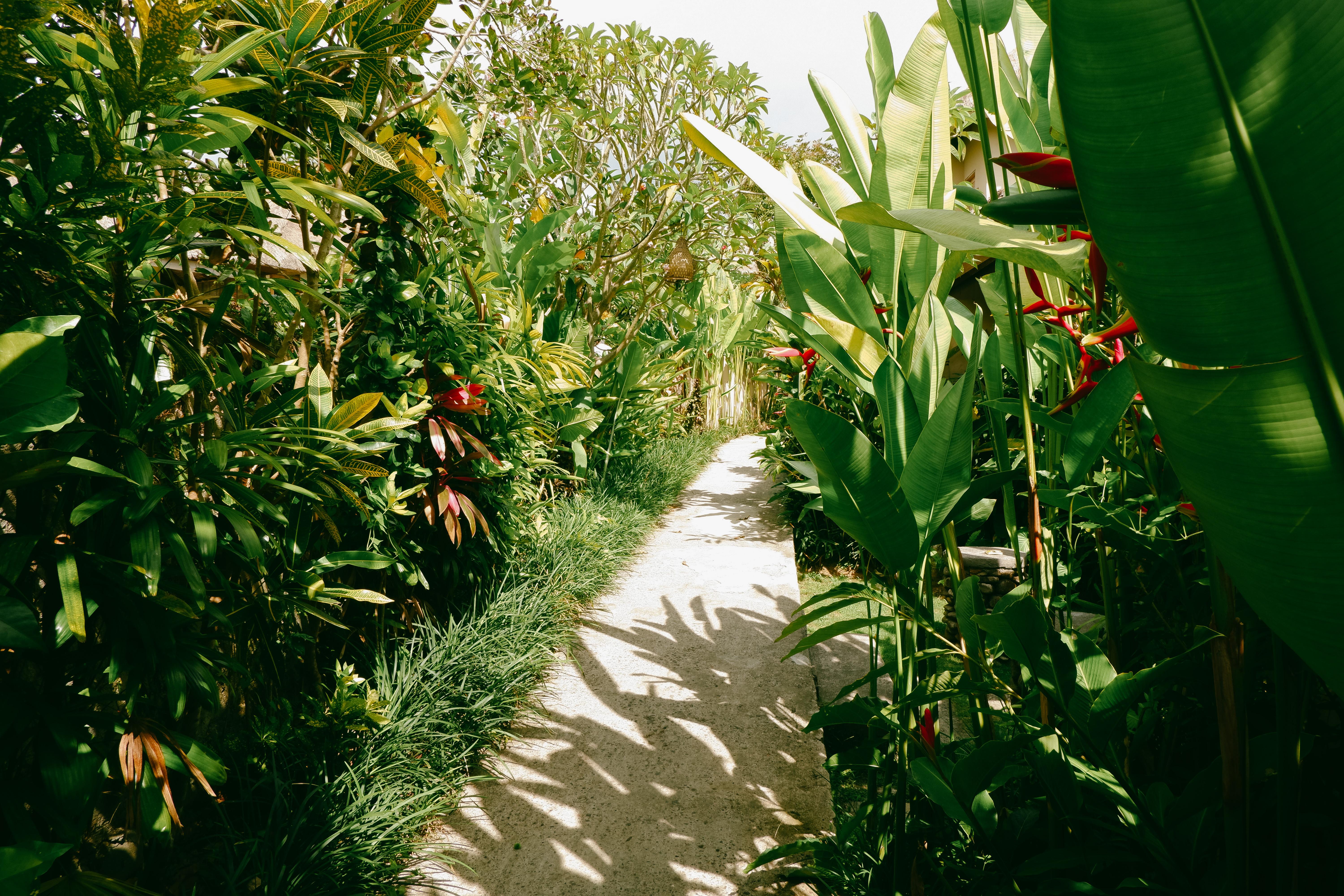 Mesari Hotel Ubud Exterior foto