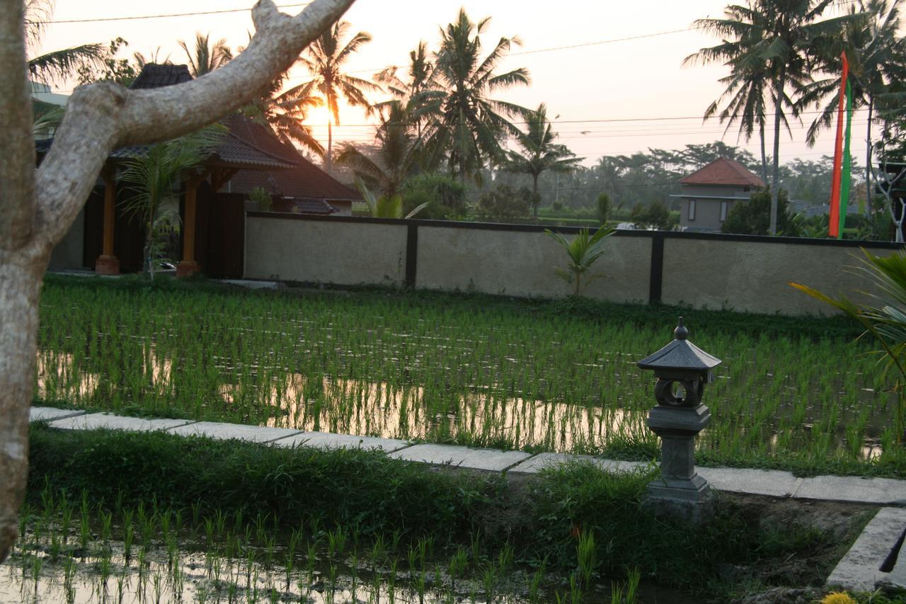 Mesari Hotel Ubud Exterior foto