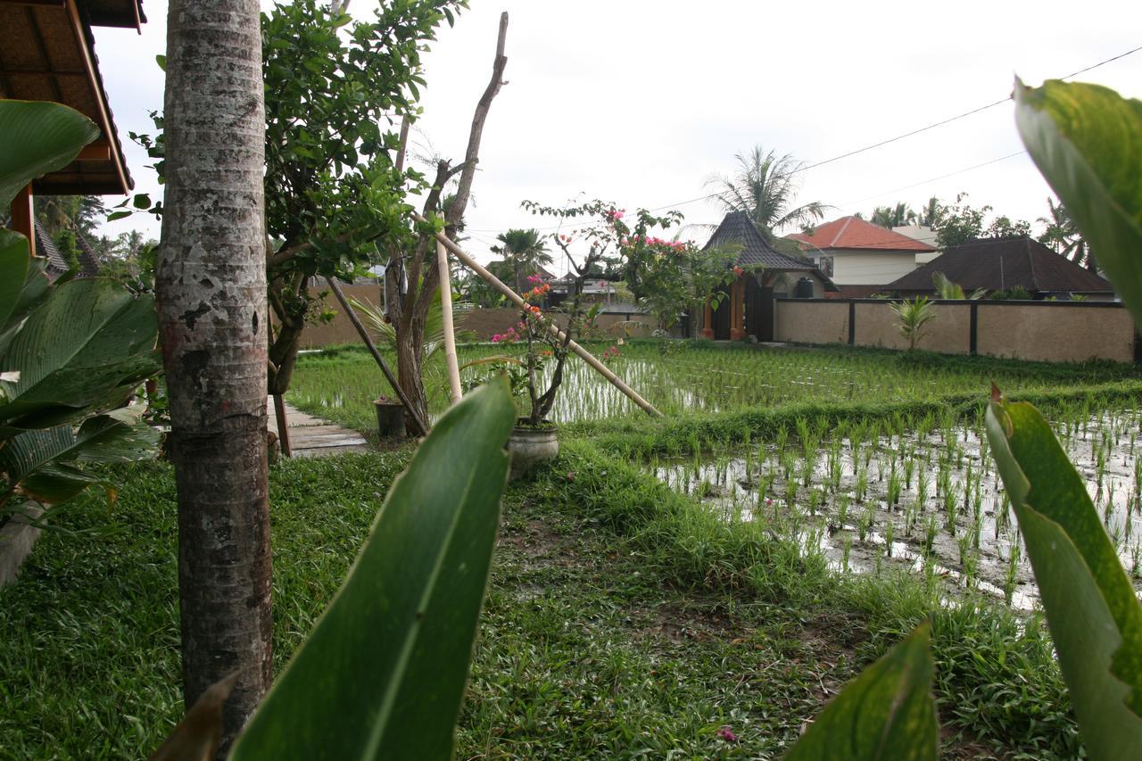 Mesari Hotel Ubud Exterior foto